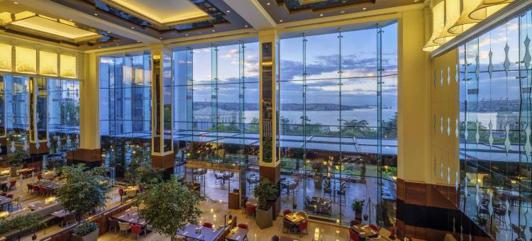 伊斯坦布尔博斯普鲁斯瑞士酒店(Swissotel the Bosphorus Istanbul)图片