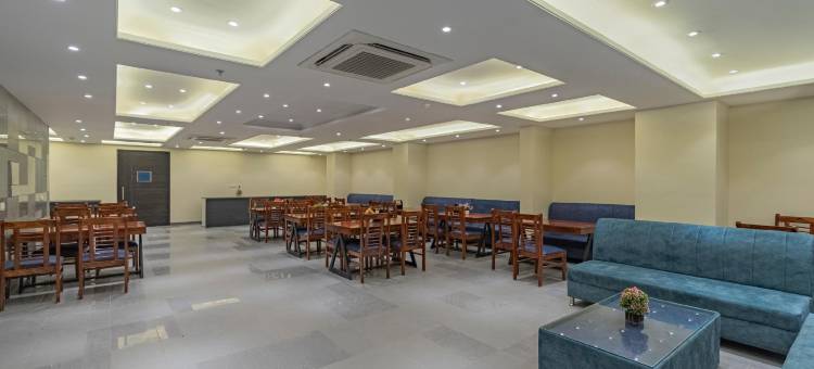 翠柏粉红城大酒店(Treebo Pink City Grand)图片