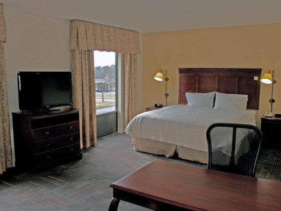 希尔顿欢朋套房酒店-诺福克机场