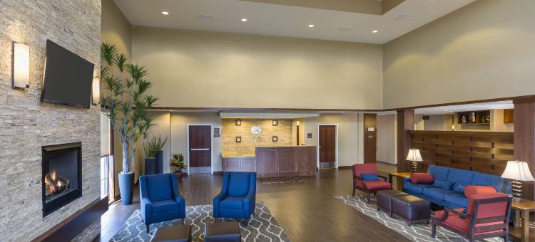 医疗中心舒适套房酒店(Comfort Suites Medical Center)图片