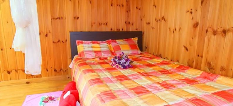 拜奈戈尔阿尔卑西亚旅馆(Baenae-Gol Alpensia Pension)图片