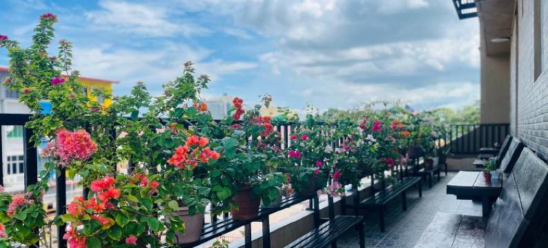 仙乐酒店(SemRock Hotel)图片