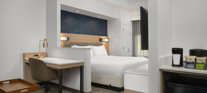 安纳波利斯万豪SpringHill酒店(SpringHill Suites Annapolis)图片