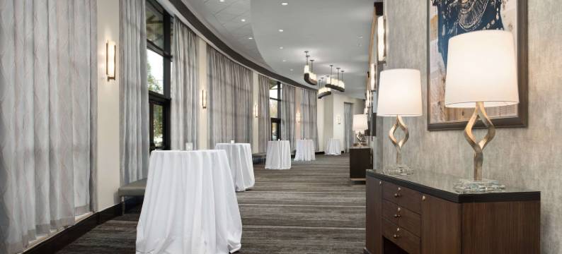 弗吉尼亚州斯普林菲尔德希尔顿安泊酒店(Embassy Suites by Hilton Springfield)图片