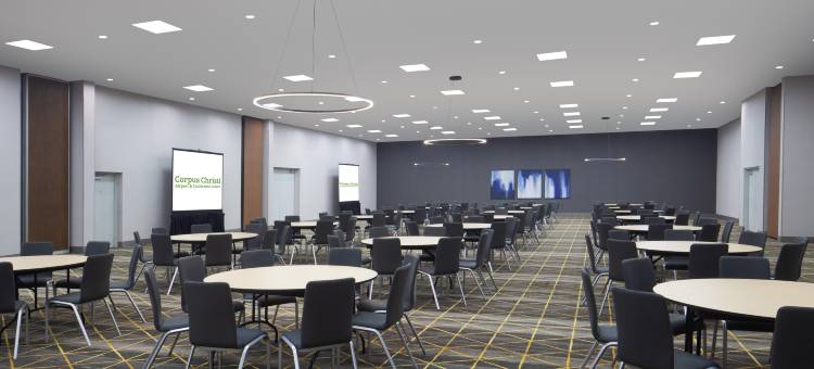 科珀斯克里斯蒂公寓和会议中心(Holiday Inn CORPUS CHRISTI ARPT & CONF CTR by IHG)图片