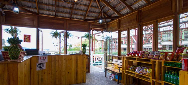 基亚花园小木屋(Kea Garden Mini Chalet)图片