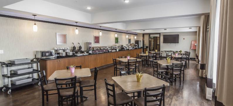 邦尼维尔舒适套房酒店(The Kanata Bonnyville)图片