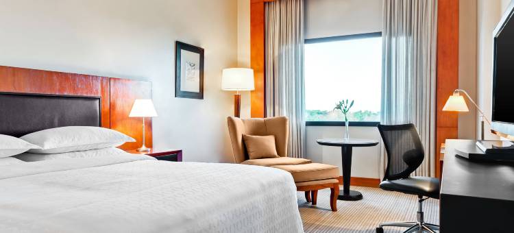 亚松森喜来登酒店(Sheraton Asuncion Hotel)图片