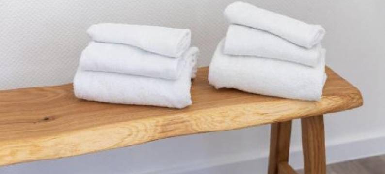 Haus Diana - Uferschwalbe图片