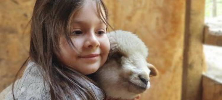 Cabana „Stâna Din Deal”图片