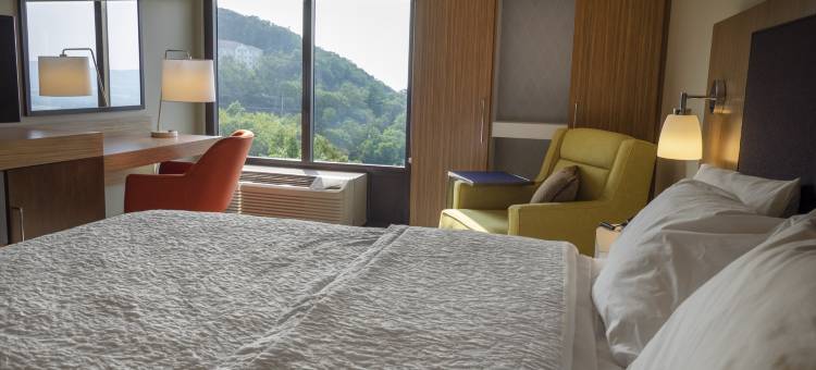 希尔顿欢朋酒店-哈泽莱顿(Hampton Inn Hazleton)图片