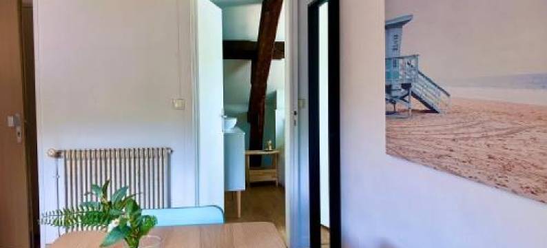 F3 la Plage - Gare - Netflix - Wifi - Parking图片