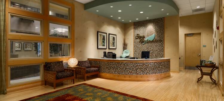 阿肯色州西北希尔顿安泊酒店(Embassy Suites Northwest Arkansas - Hotel, Spa & Convention Center)图片