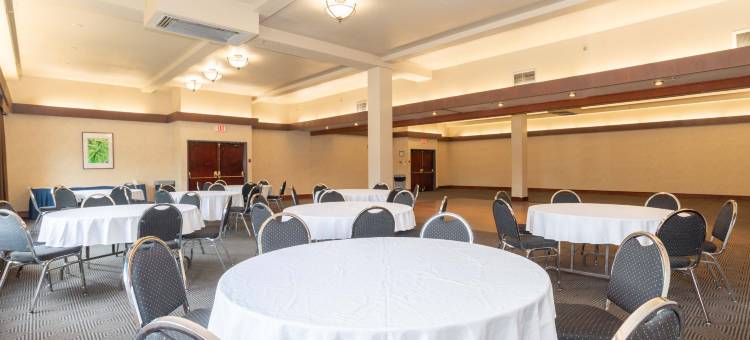 卡斯尔加桑德曼酒店(Sandman Hotel Castlegar)图片