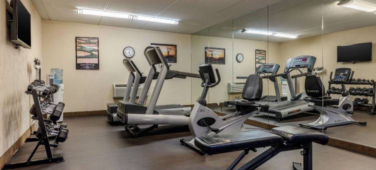 阿灵顿高地 - 麋鹿林郊区套房酒店(Suburban Studios Arlington Heights Elk Grove)图片