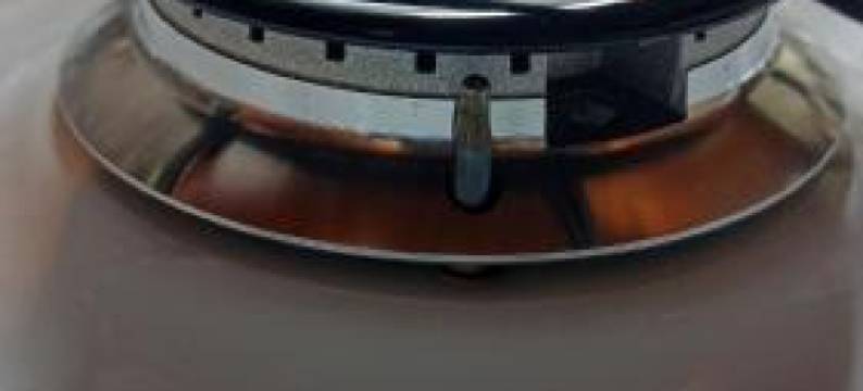 100 anos cipres图片