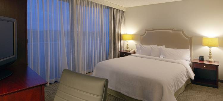 博卡－拉顿大使套房酒店(Embassy Suites by Hilton Boca Raton)图片