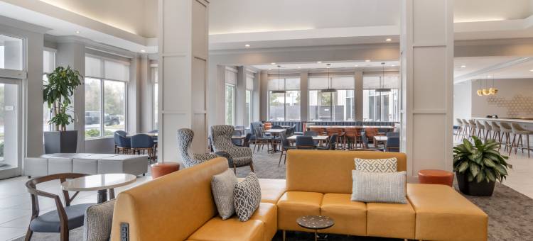 夏洛特康科德希尔顿花园酒店(Hilton Garden Inn Charlotte/Concord)图片