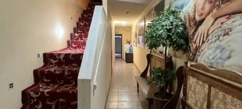 Rubin Guest House图片