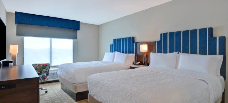 纳什维尔市中心国会大厦景观欢朋套房酒店(Hampton Inn & Suites Nashville Downtown Capitol View)图片