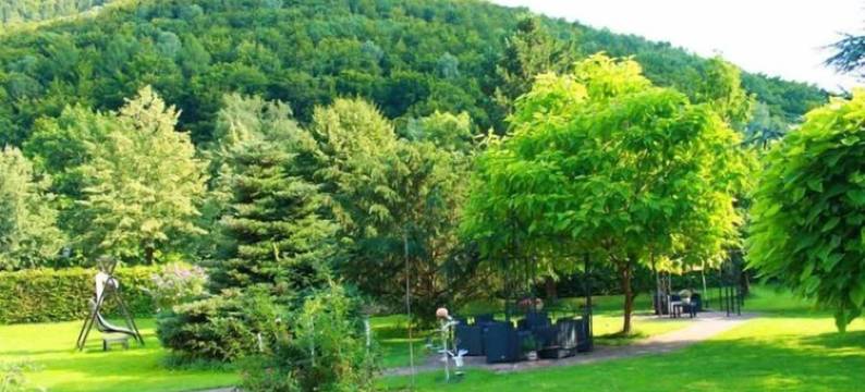 韦伯-穆勒公园酒店(Parkhotel Weber-Müller)图片