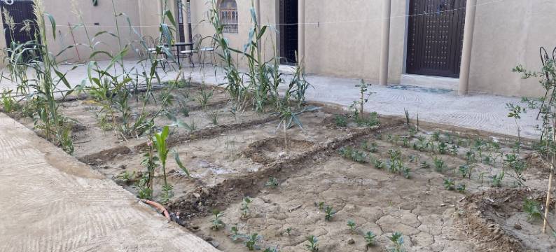 阳光名宿公寓(Sunny Place Apartments)图片