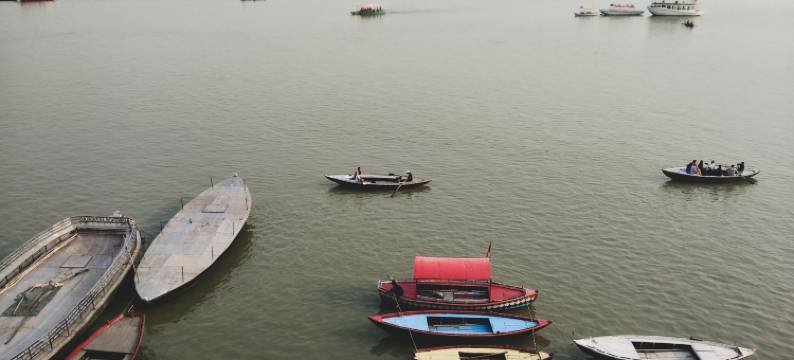 阶梯宫殿迪维迪酒店(Dwivedi Hotels Palace on Steps)图片