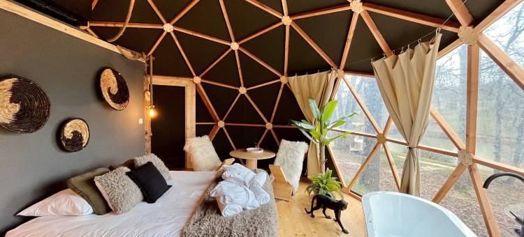 Whaka小屋(Whaka Lodge)图片