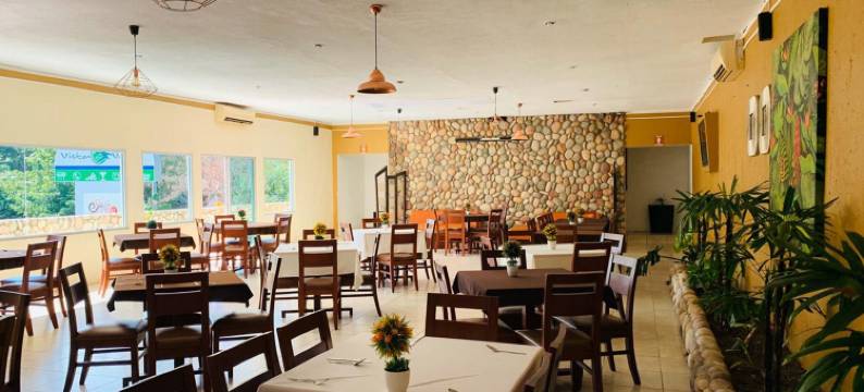 翠景酒店(Hotel Vista Verde)图片