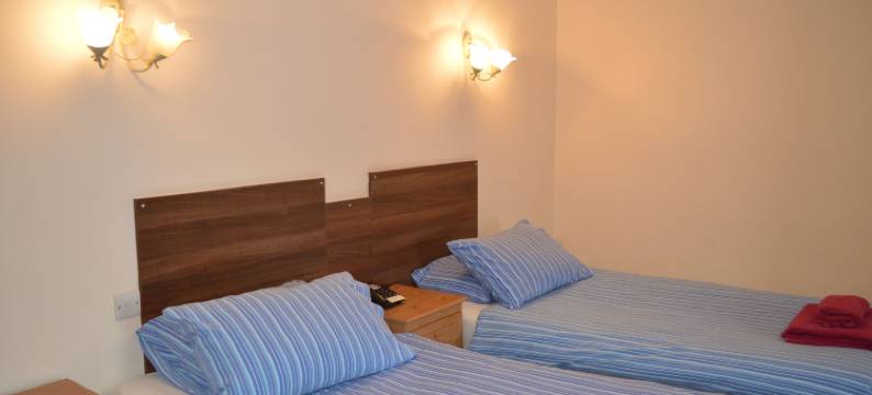 全球酒店(Globe Hotel)图片