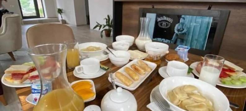 阿克塞恩酒店(Hotel Axien Kazbegi)图片