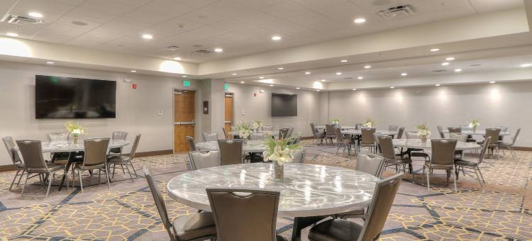 鸽子谷会议中心假日酒店及套房(Holiday Inn & Suites Pigeon Forge Convention Center)图片