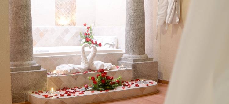 普埃布拉阿甘黑使命酒店(Arcángel Puebla)图片