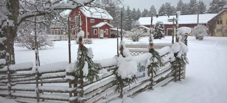 纳塞特斯马库斯农场公寓(Näsets Marcusgård)图片