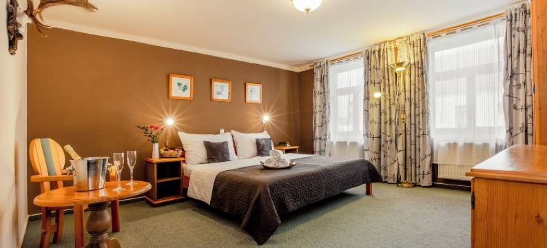 潘斯卡酒店(Hotel Panská)图片