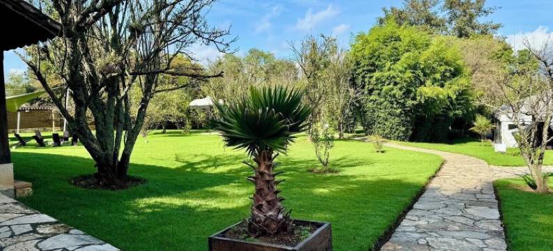 乌文斯艺术酒店(Uvence Arte + Hotel)图片