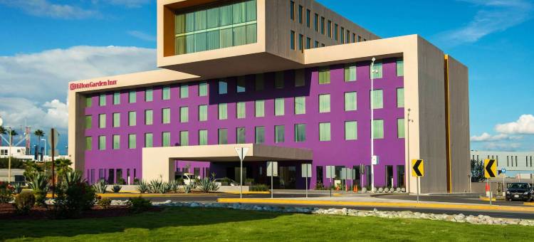 蒙特雷机场希尔顿花园酒店(Hilton Garden Inn Monterrey Airport)图片