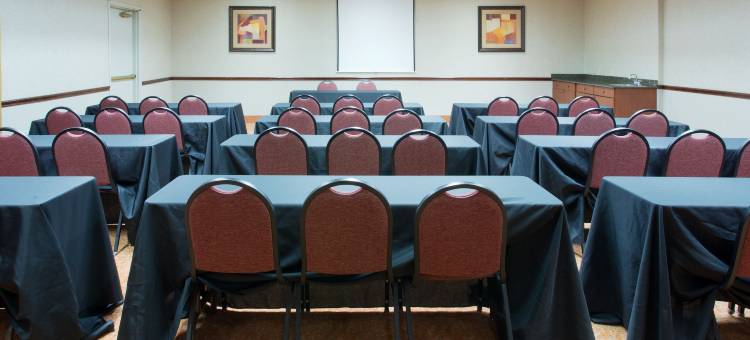智选假日套房酒店邓肯维尔(Holiday Inn Express & Suites Dallas - Duncanville)图片