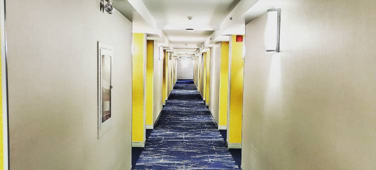 多伦多机场皮尔逊会议酒店(Comfort Inn & Conference Centre Toronto Airport)图片