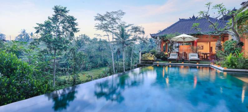 纳塔乌布酒店(Nata Ubud)图片