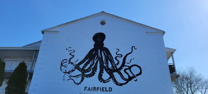 费尔菲尔德赛可酒店(Circle Hotel Fairfield)图片