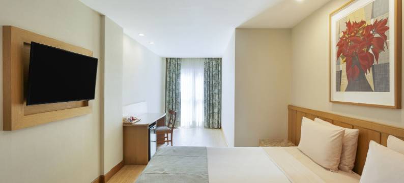 温莎杯酒店(Windsor Copa Hotel)图片