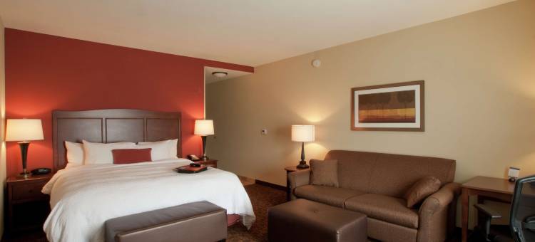 迈克艾伦欢朋酒店(Hampton Inn & Suites McAllen)图片