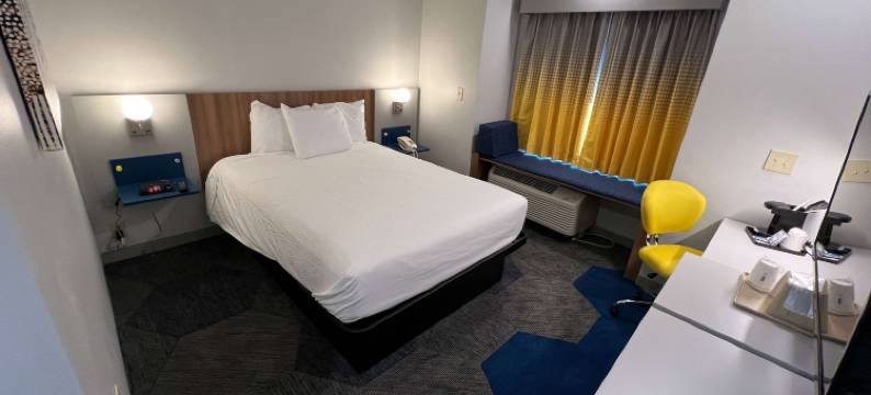 夏洛特/北湖麦客达温德姆酒店(Microtel Inn & Suites by Wyndham Charlotte/Northlake)图片