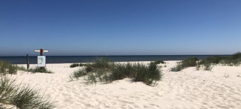 马拉胡森塞梅斯特比奥斯特伦 - 小屋 & 农场套房(Mälarhusen Semesterby Österlen - Stugor & Gårdssviter)图片