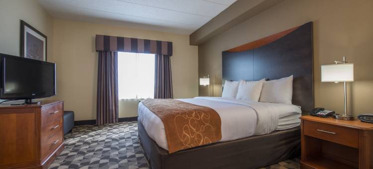 哈比森哥伦比亚舒适全套房酒店(Comfort Suites Columbia at Harbison)图片