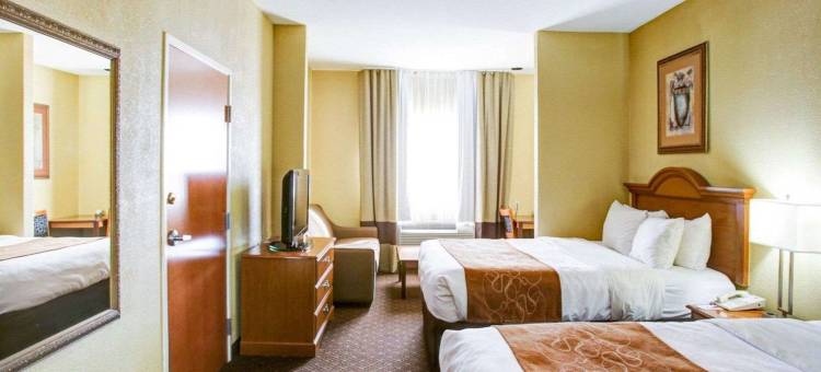 布伦纳姆舒适全套房酒店(Comfort Suites)图片