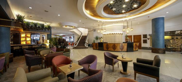 贝拉维斯塔酒店(The Bellavista Hotel)图片