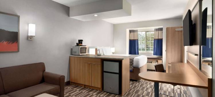 巴吞鲁日温德姆麦客达套房酒店(Microtel Inn & Suites by Wyndham Baton Rouge)图片