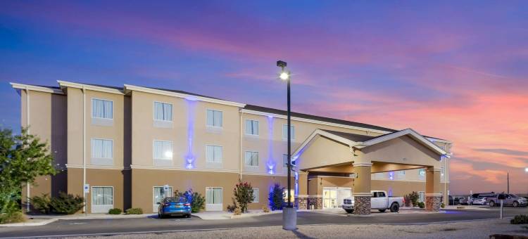 卡尔斯巴德洞穴区-品质酒店及套房(Quality Inn & Suites Carlsbad Caverns Area)图片